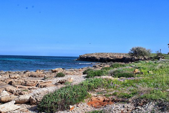 Tour image 9